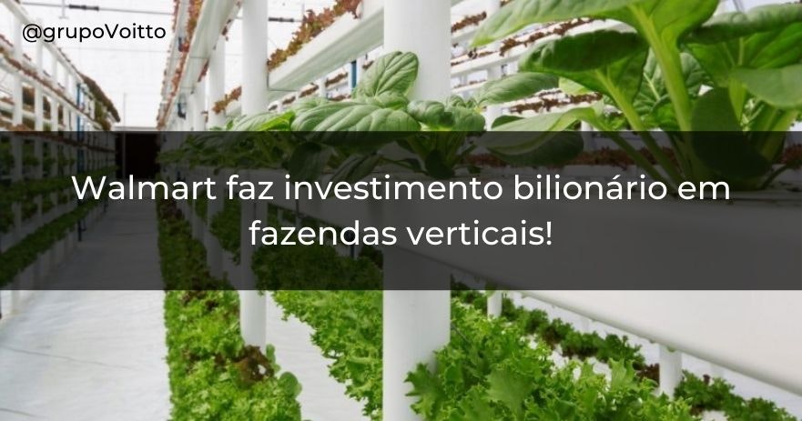 Walmart faz investimento bilionário em fazendas verticais!
