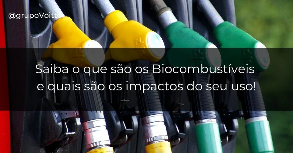 Saiba o que são os Biocombustíveis e quais são os impactos do seu uso! Saiba o que são os Biocombustíveis e quais são os impactos do seu uso!