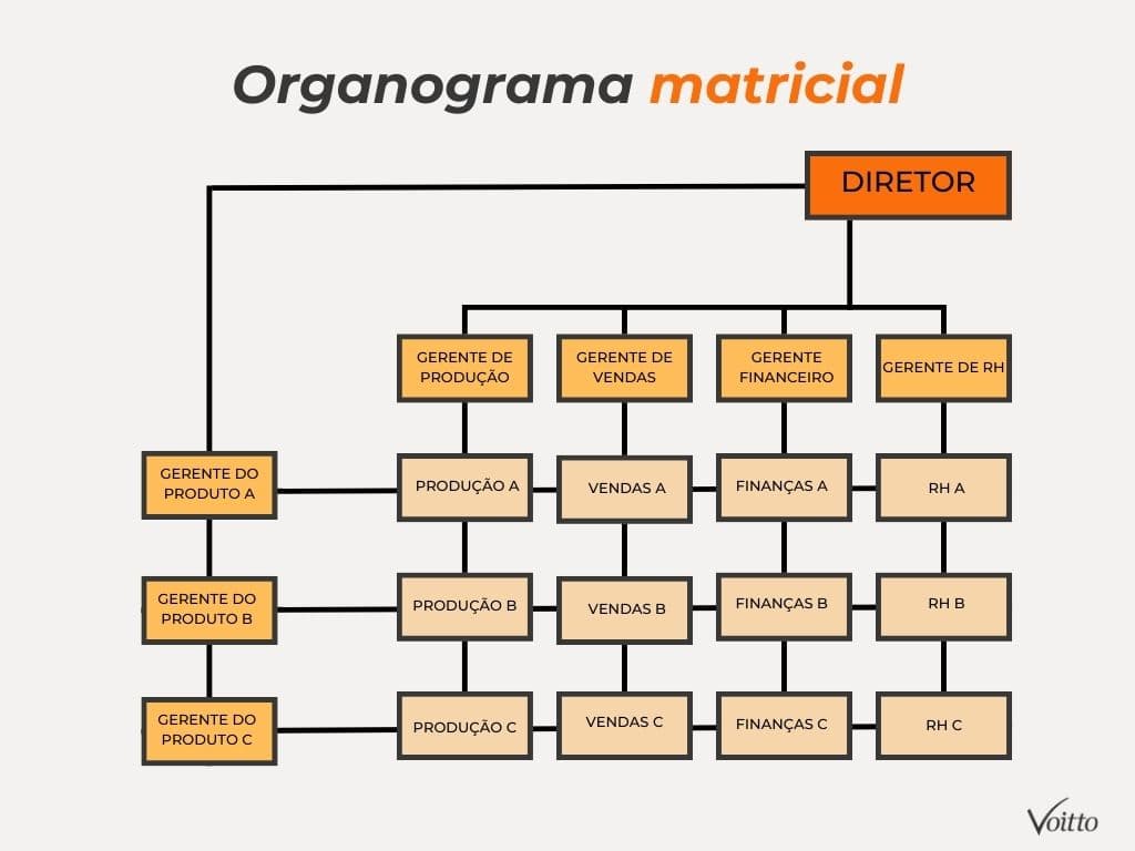 Organograma matricial
