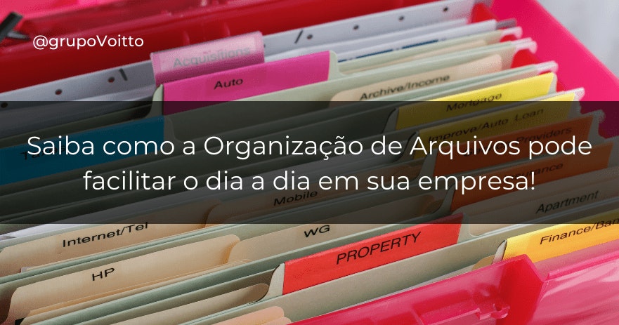 Saiba como a Organização de Arquivos pode facilitar o dia a dia em sua empresa!