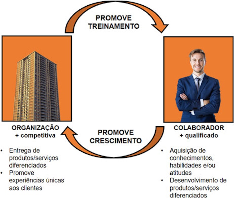 Como fazer treinamento: quais as etapas e metodologia utilizada