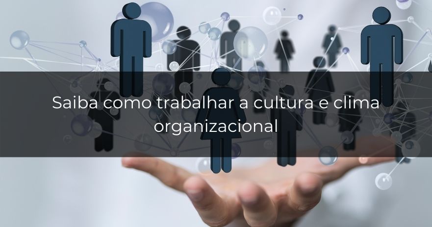 Saiba Como Trabalhar A Cultura E Clima Organizacional