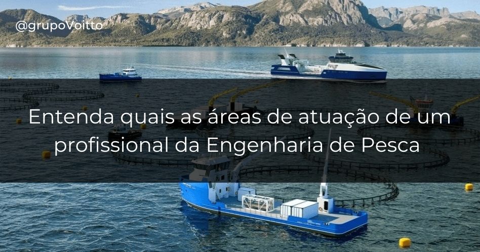 Você sabe o que é Engenharia de Pesca? Veja o que é e quanto ganha!