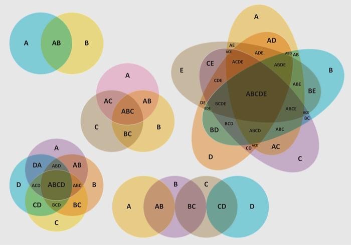 MATEMÁTICA BÁSICA ENVOLVENDO DIAGRAMA DE VENN SALA DE AULA 