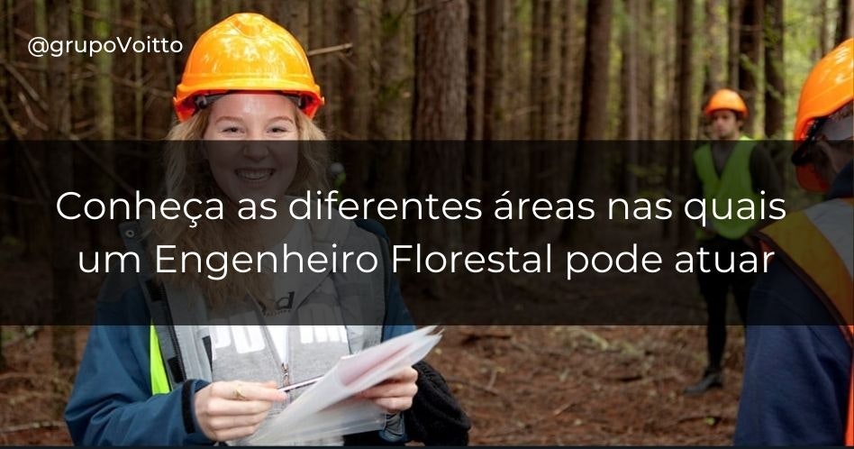 Aprenda mais sobre a graduação em Engenharia Florestal e quanto um profissional na área ganha.