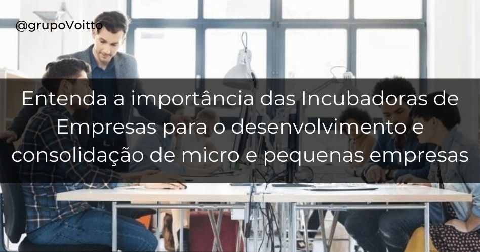 Descubra a importância da incubadora de empresas para os micro e pequenos empresários!