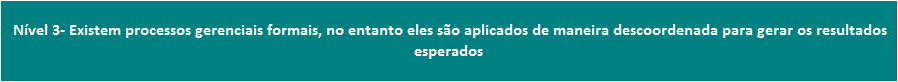 Nível de maturidade da empresa