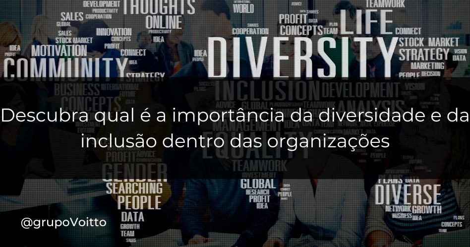 Descubra qual é a importância da diversidade e da inclusão dentro das organizações