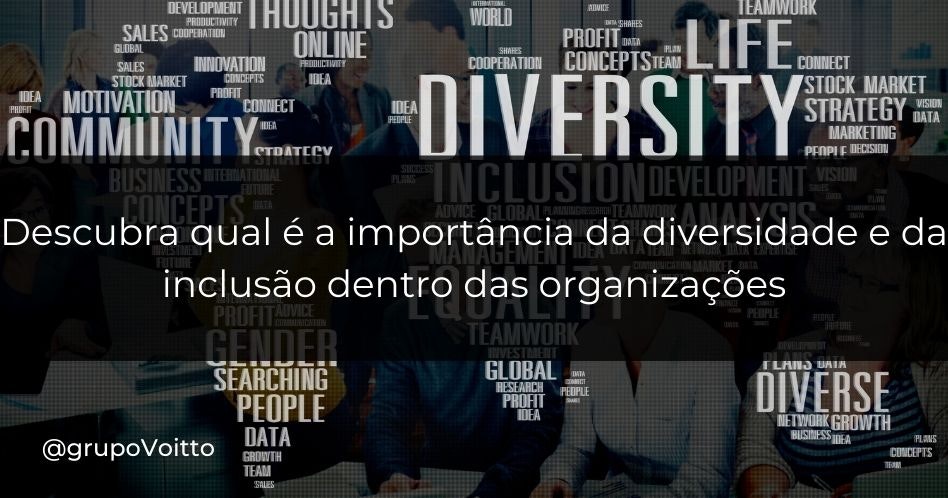 Descubra qual é a importância da diversidade e da inclusão dentro das organizações