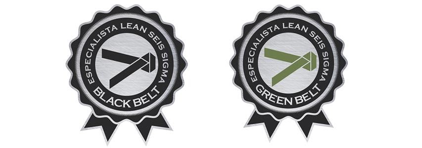 Especialista Lean Seis Sigma Green Belt e Especialista Lean Seis Sigma Black Belt