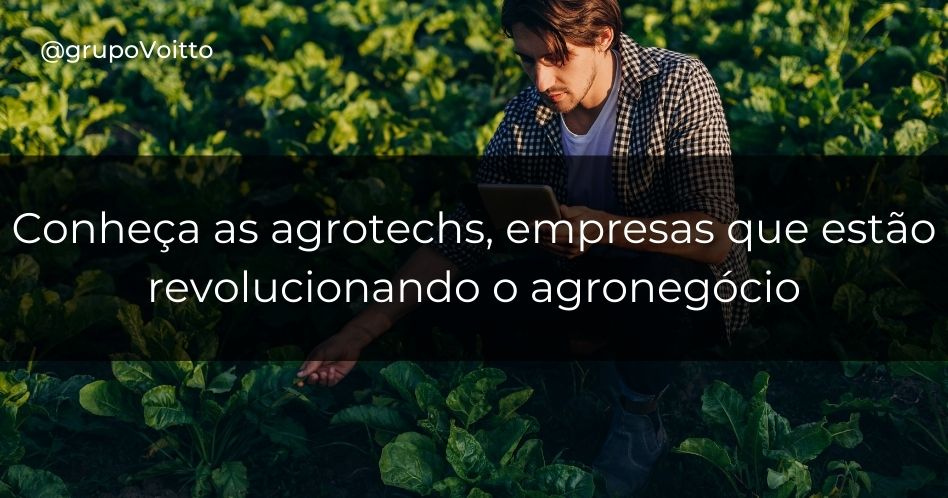 Conheça o agrotech e como suas empresas estão revolucionando o agronegócio