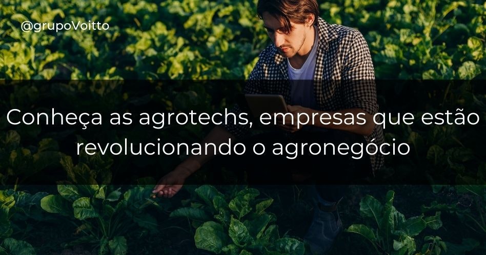 Conheça o agrotech e como suas empresas estão revolucionando o agronegócio