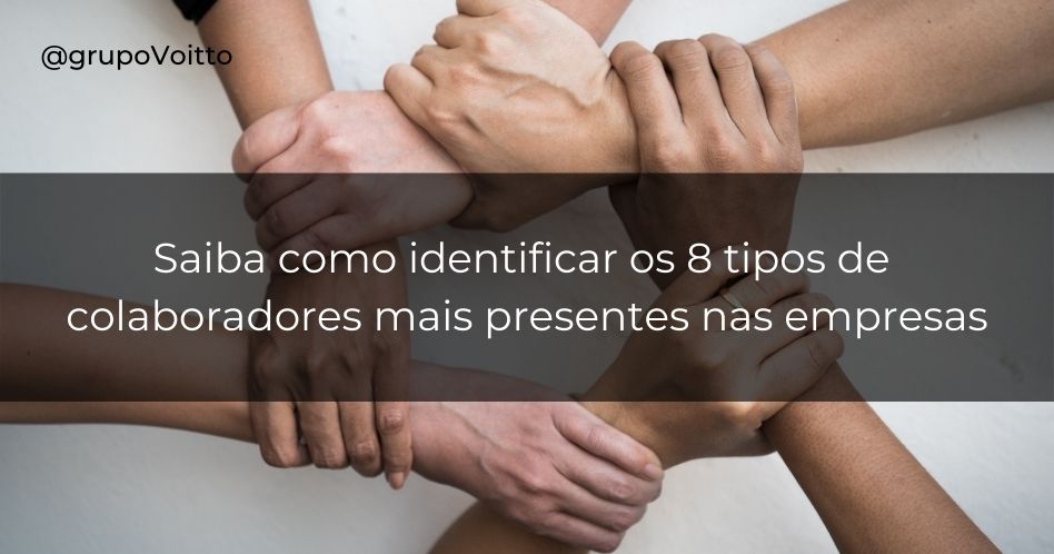 Tipos De Colaboradores Voc Sabe Como Identificar 