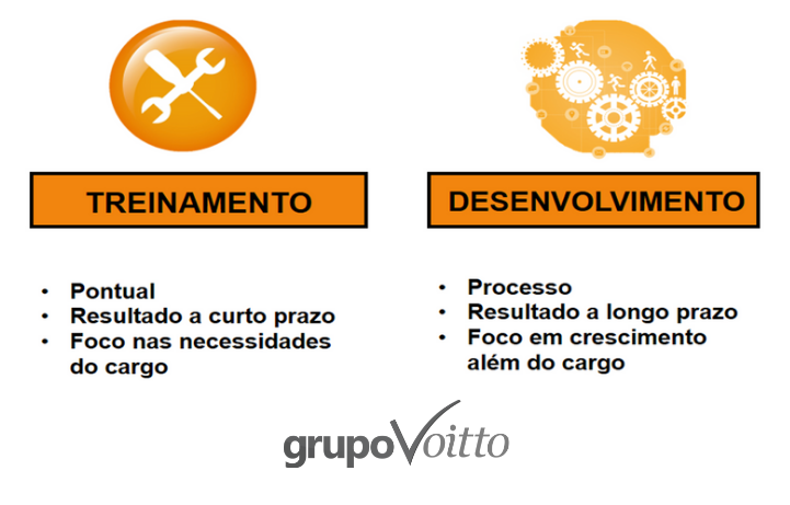 Diferenças entre treinamento e desenvolvimento