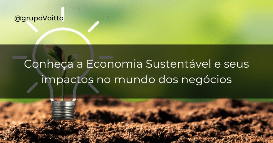 Conheça a Economia Sustentável e seus impactos no mundo dos negócios