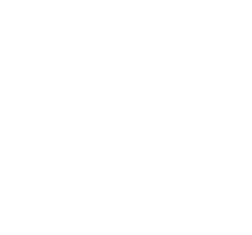 Politecnico di Torino