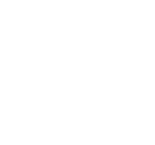 Politecnico di Torino