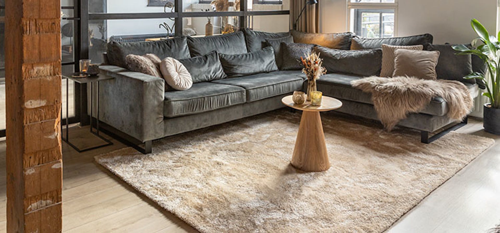 Wohnzimmer Teppich Beige