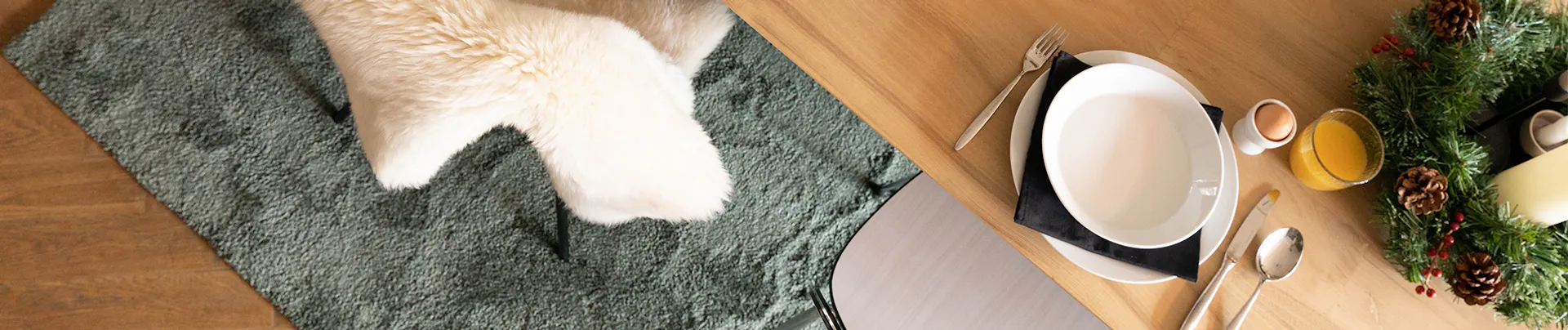 Esszimmer Teppich Clean