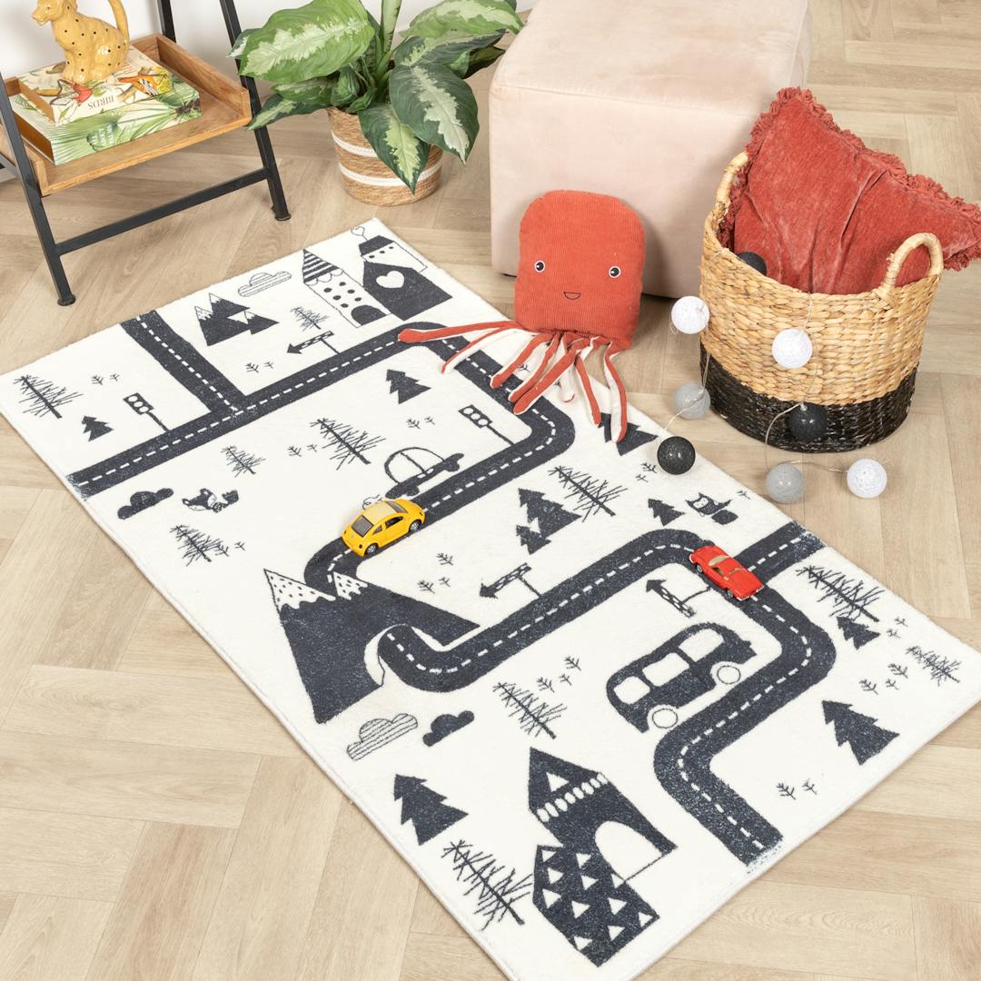 speelkleed auto