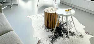 De wilde wereld van dierenhuiden 