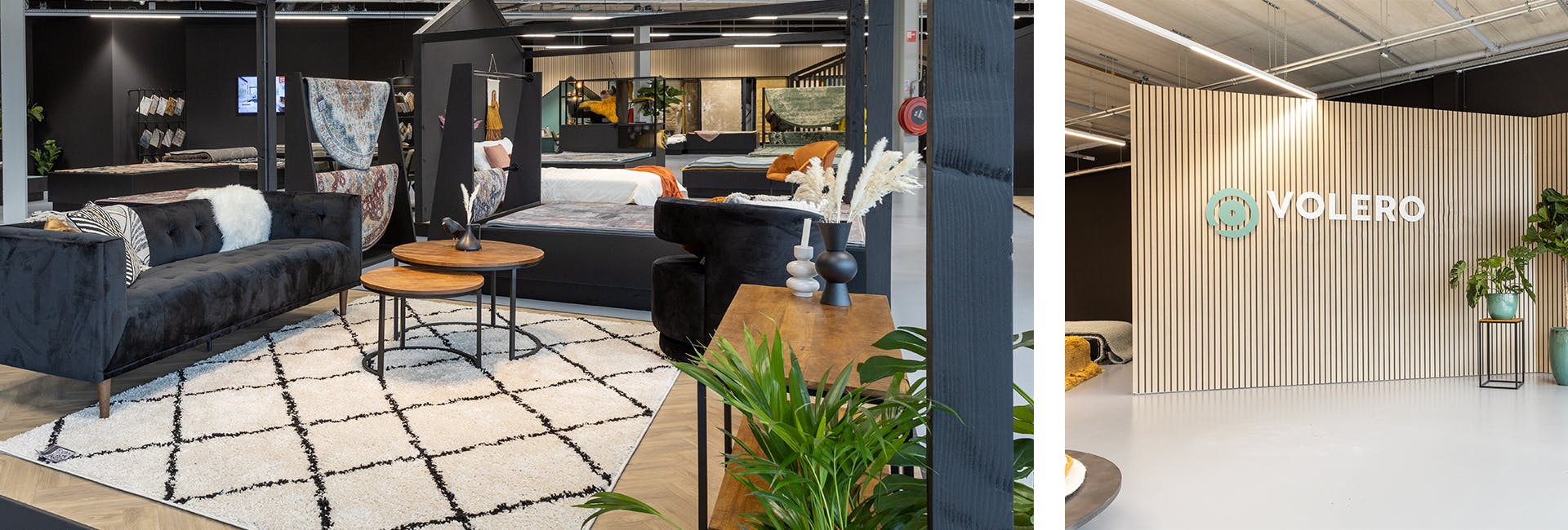 Größter Teppich auch in DE! Volero