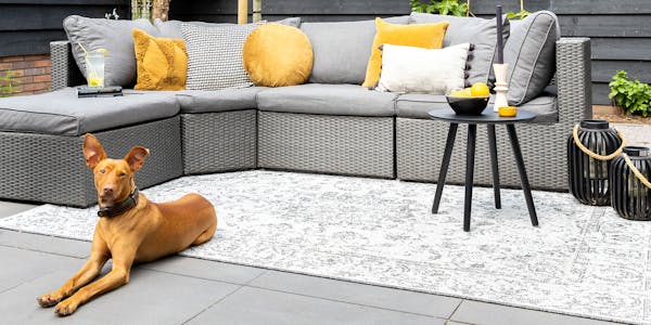Dywan zewnętrzny i pies