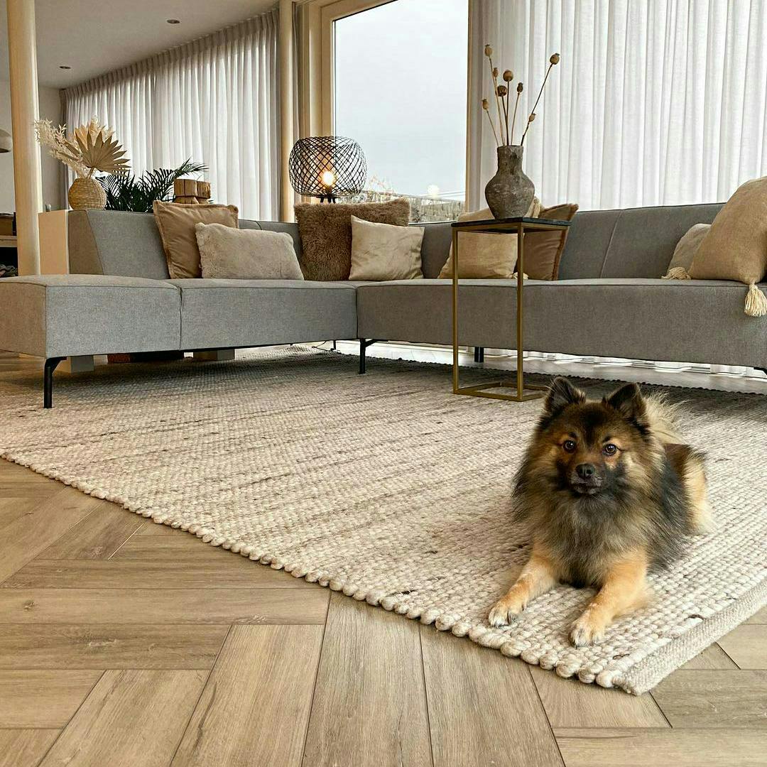 Hund Teppich