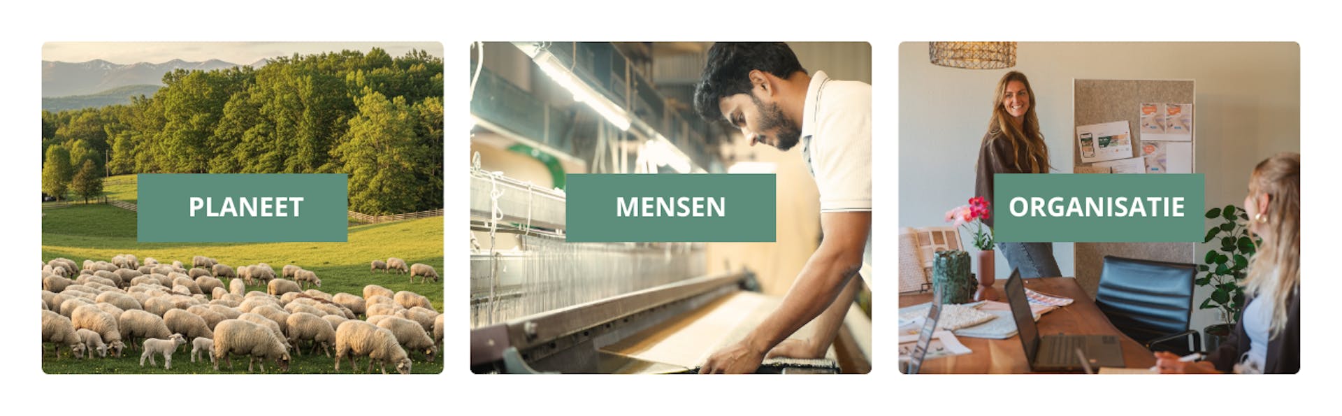 (drie pijlers): Drie beelden die de duurzaamheids­pijlers tonen: Planeet (landschap met schapen), Mensen (wever aan machine), Organisatie (teamoverleg op kantoor).