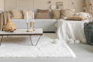 Hochflorteppich reinigen