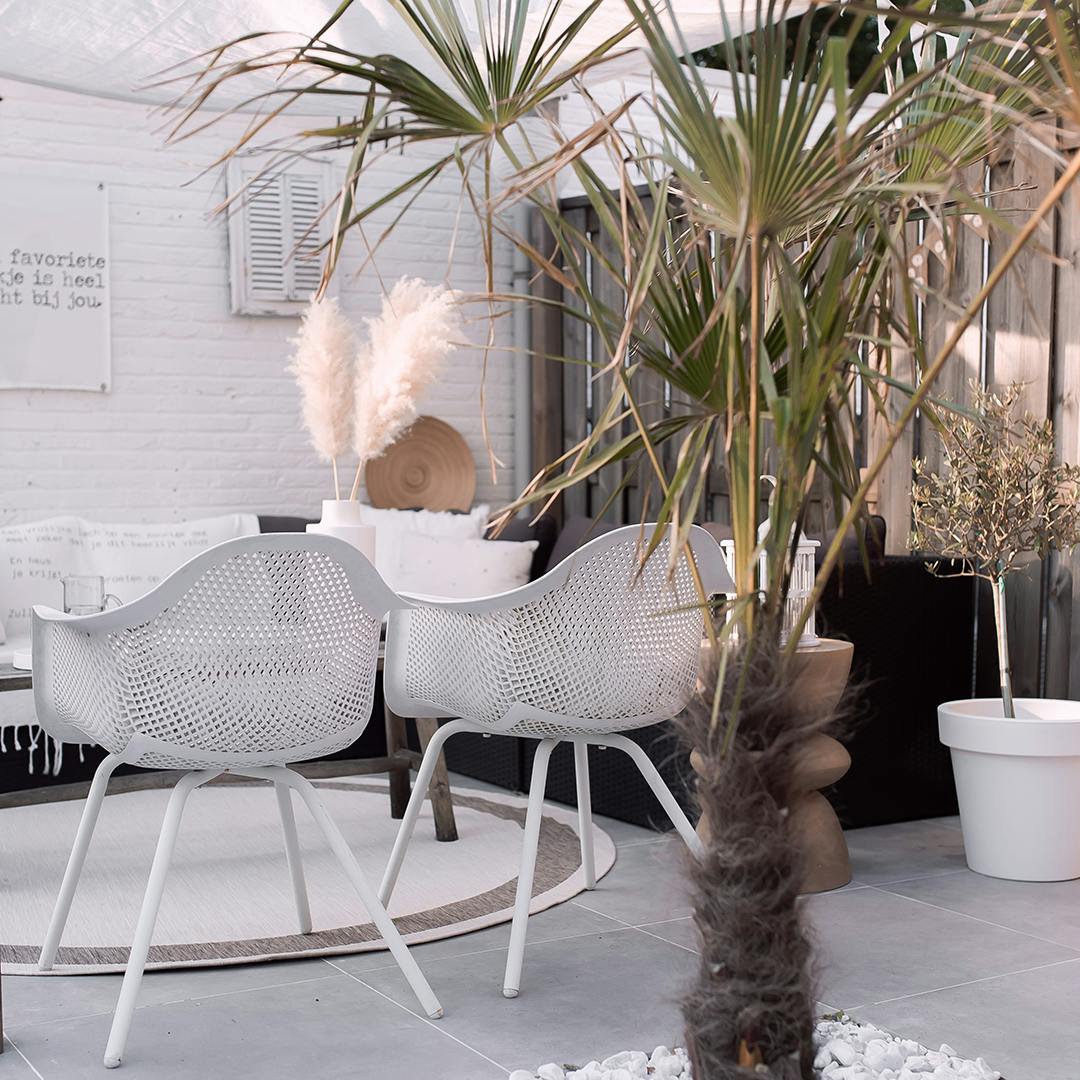 botanisch interieur tuin