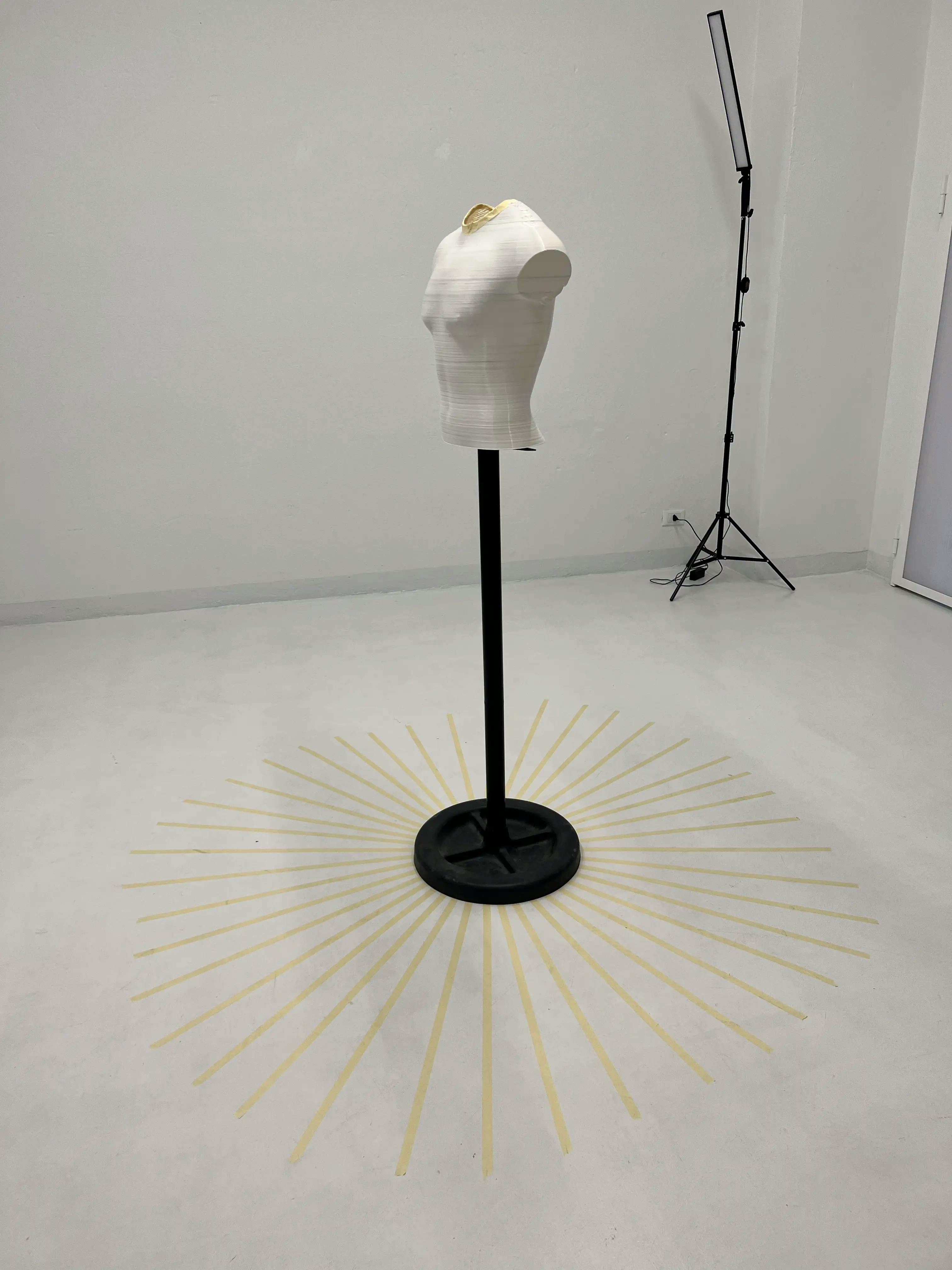 Gallery image 6