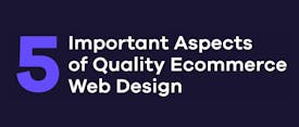 5 Important Aspects of Quality Ecommerce Web Design thumbnail
