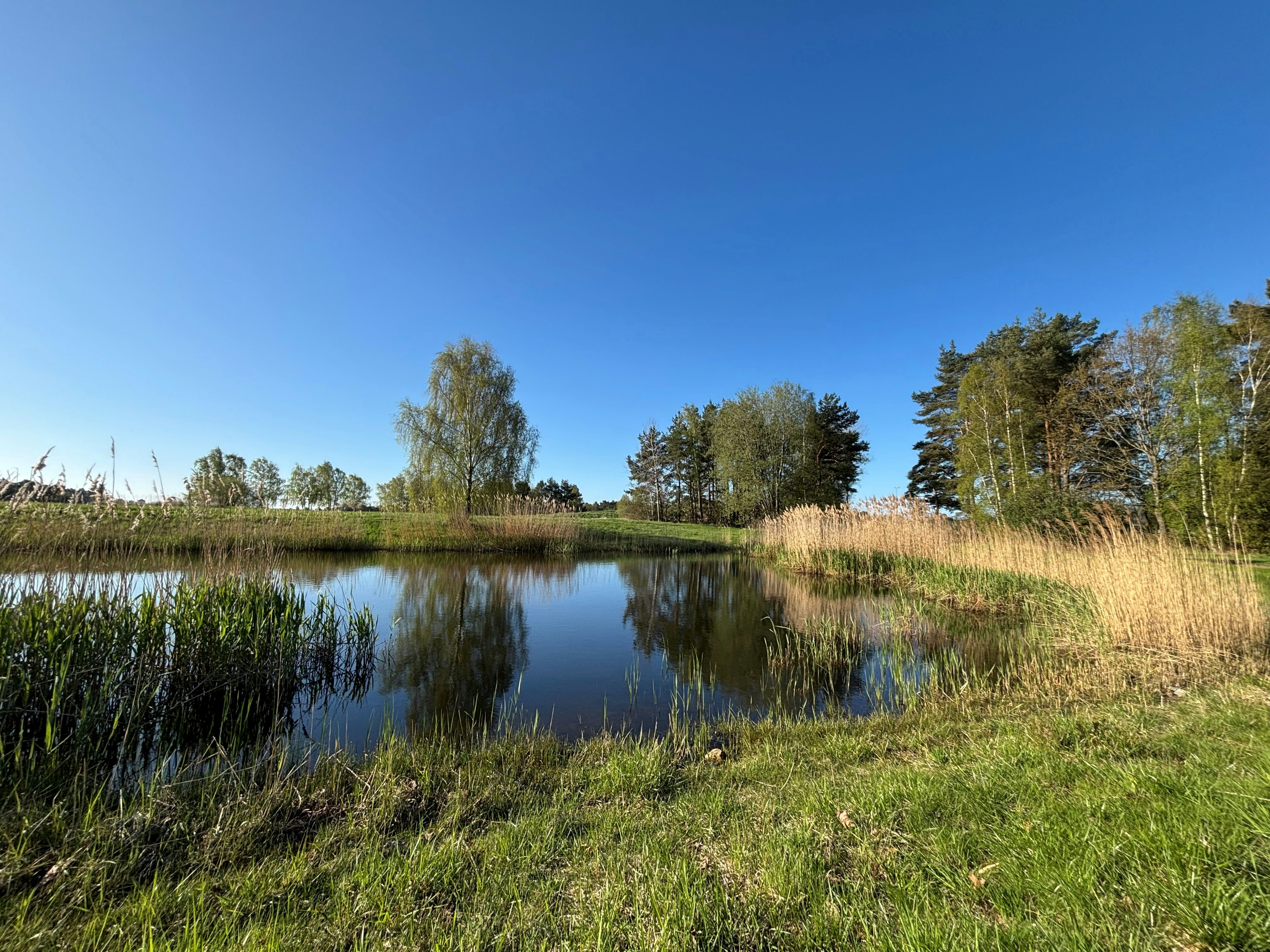 Media image
