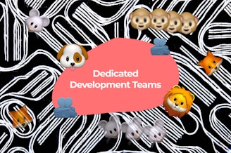 Dedicated Development Teams, Ins and Outs