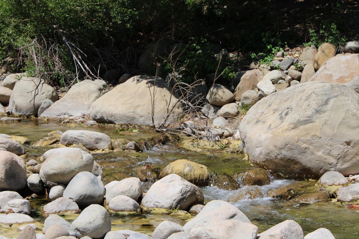 A picture of the river with water flowing over rocks