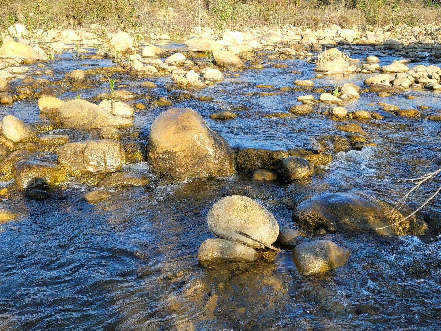 Ventura River