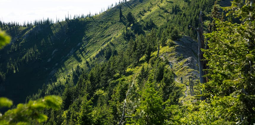 Montana High Alpine Riding