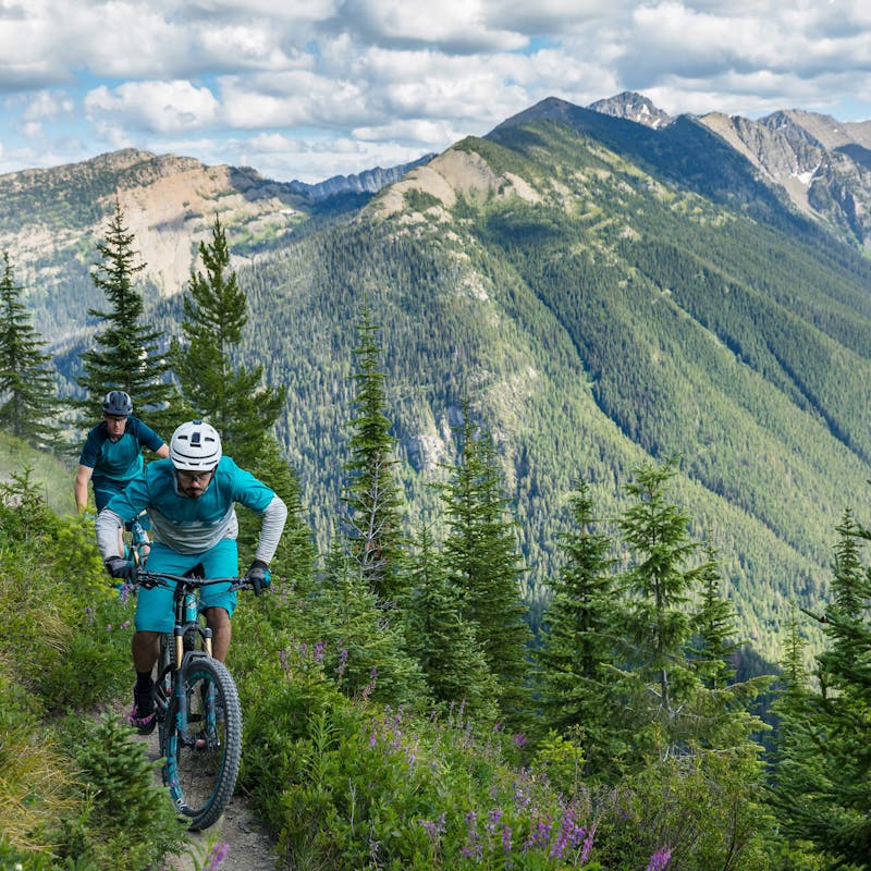 Mountain bikers on an exposed forested trail