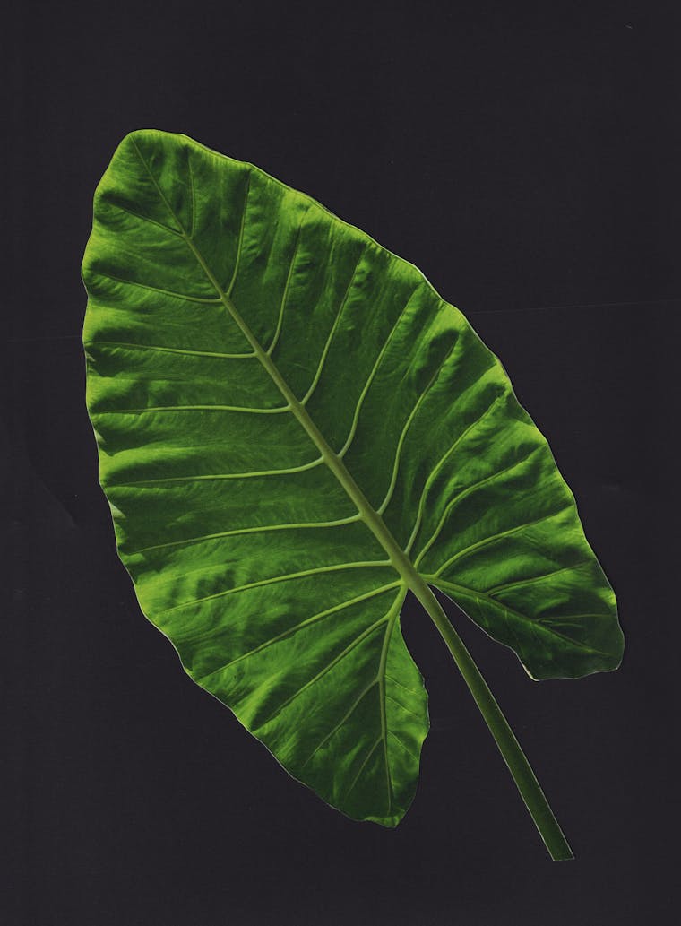 Hovered Project Cover