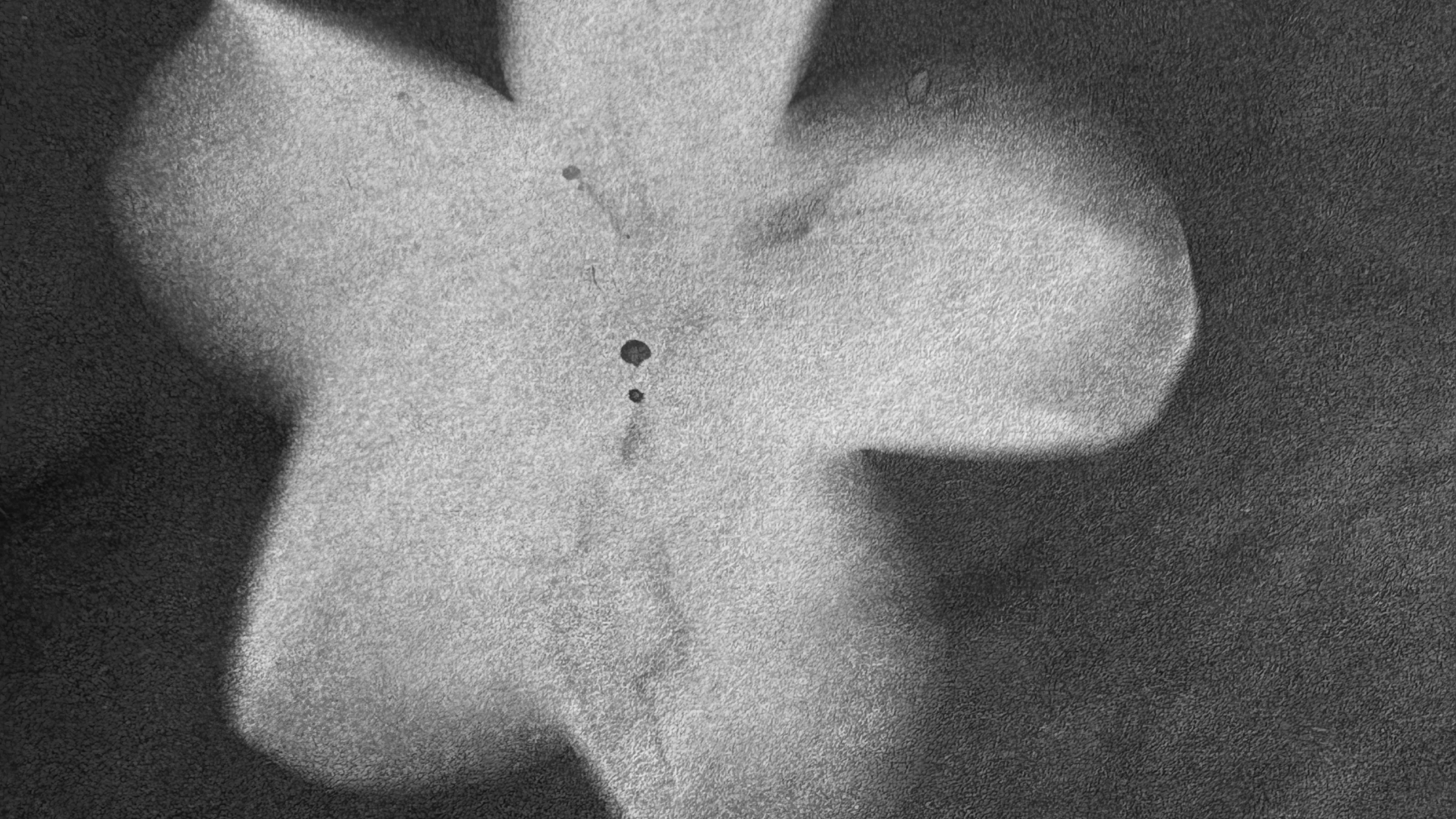 Hovered Project Cover