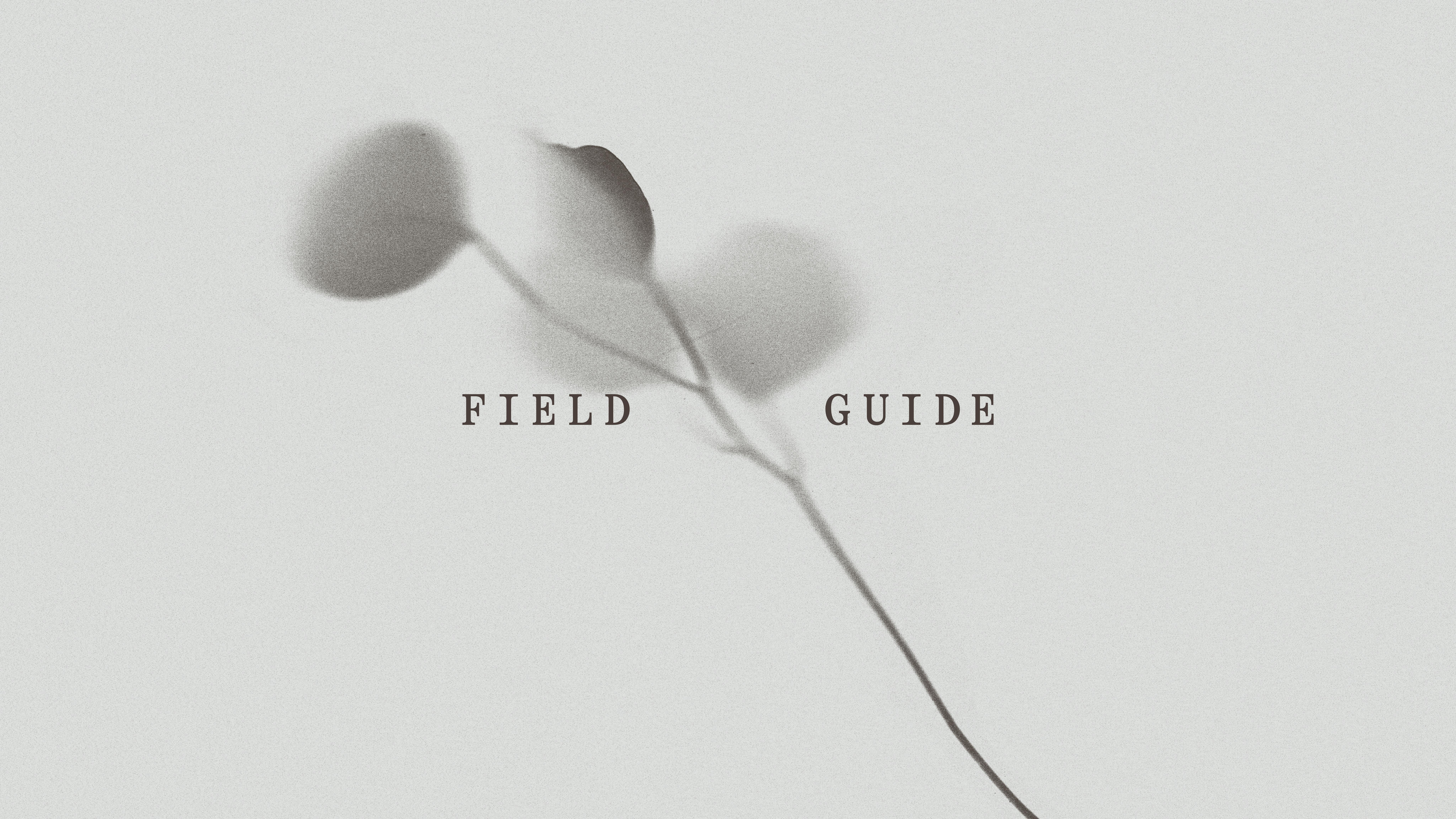 Hovered Project Cover