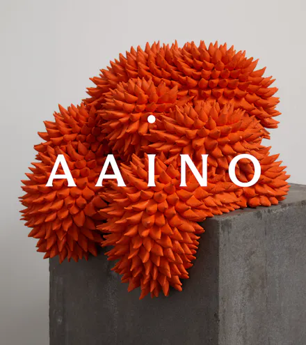 Aaino Wordmark