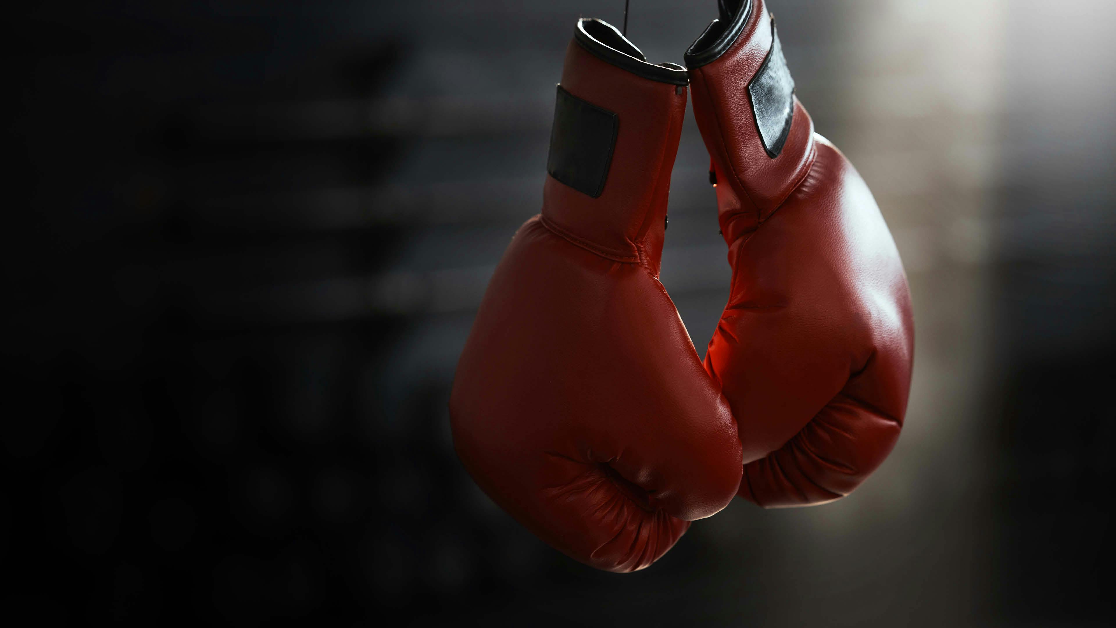 Box Gloves