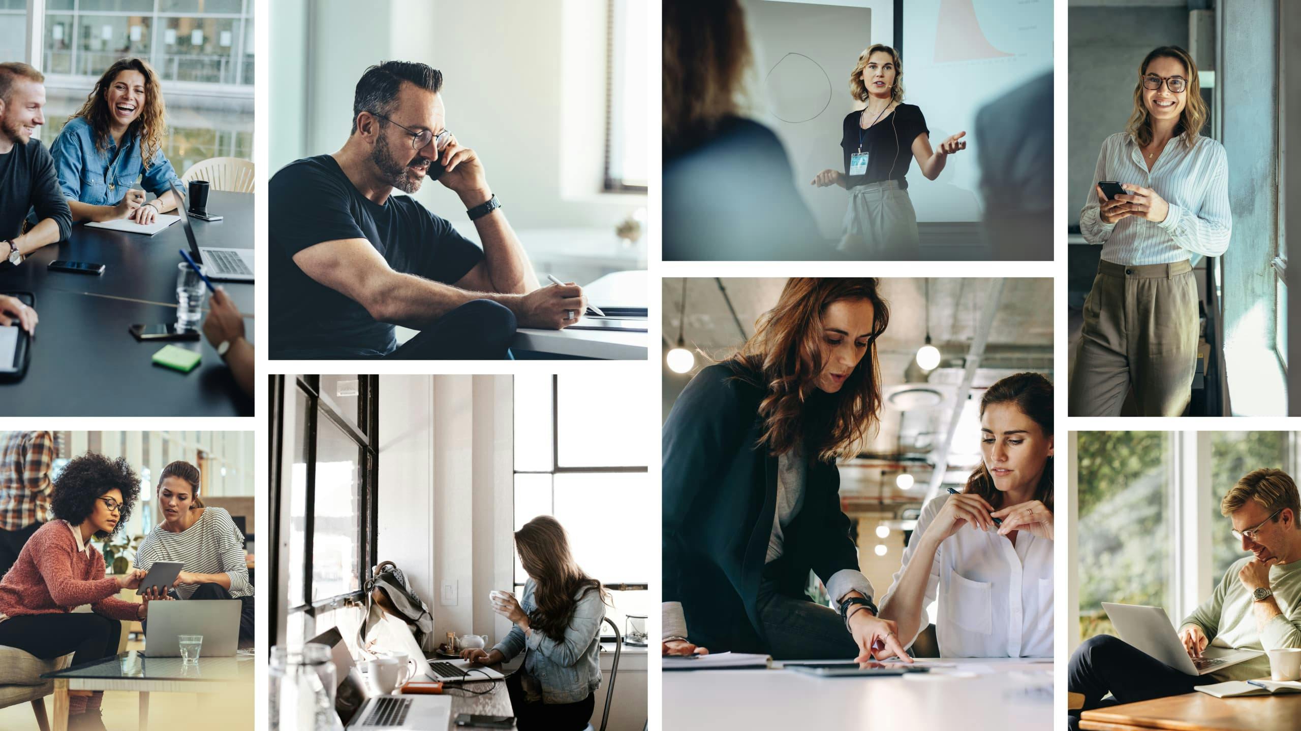 Bildergalerie, zu sehen sind Mitarbeitende von EMPAL bei der Arbeit