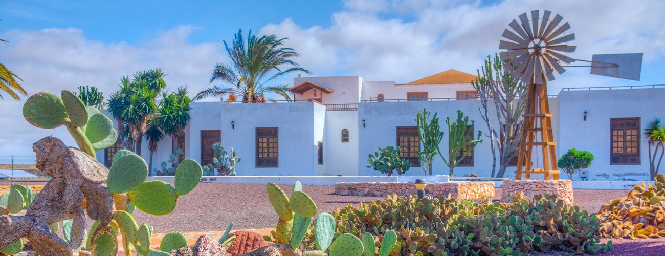 Beautiful white-washed building with a wind mill and cacti in the foreground in Fuerteventura, a Spanish Canary Island