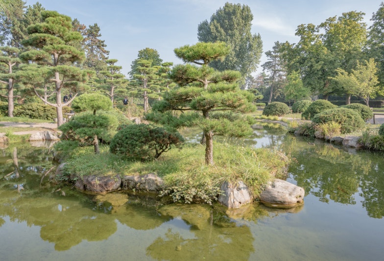 the Japanese Garden