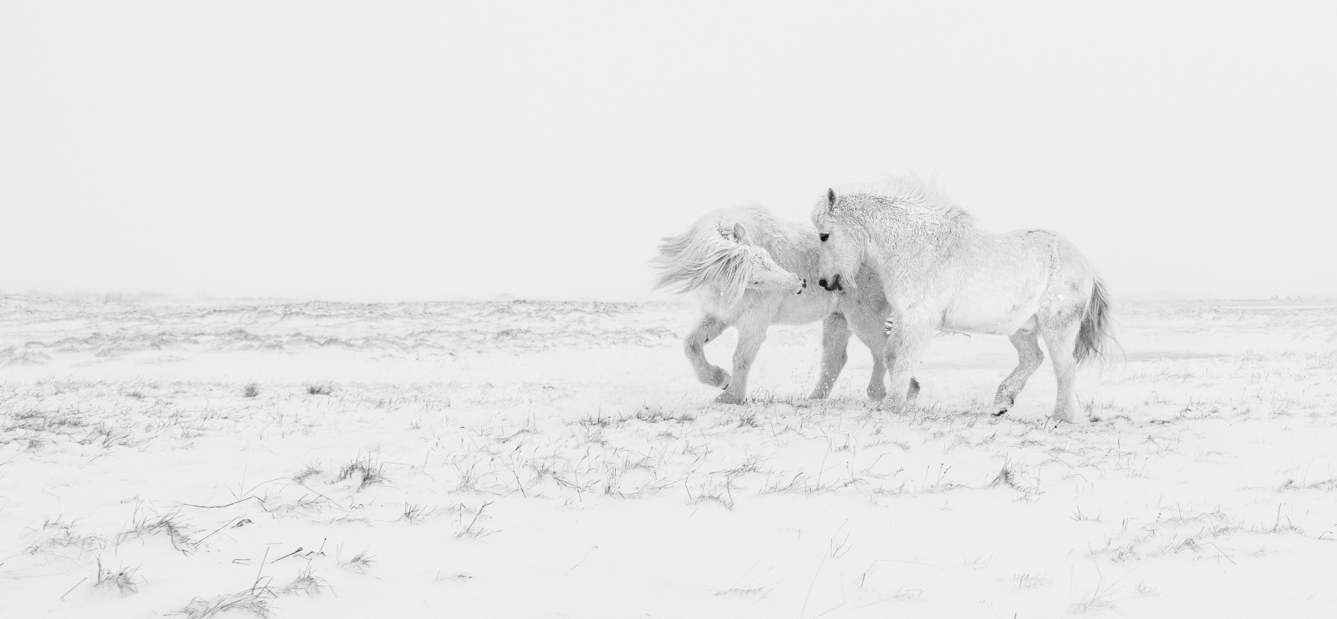 christmas-in-iceland-blog-play-airlines