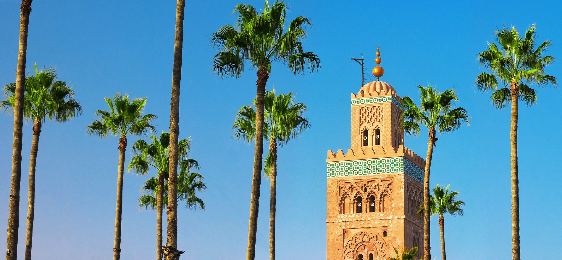 Blue sky, palm trees and a small tower in marrakech