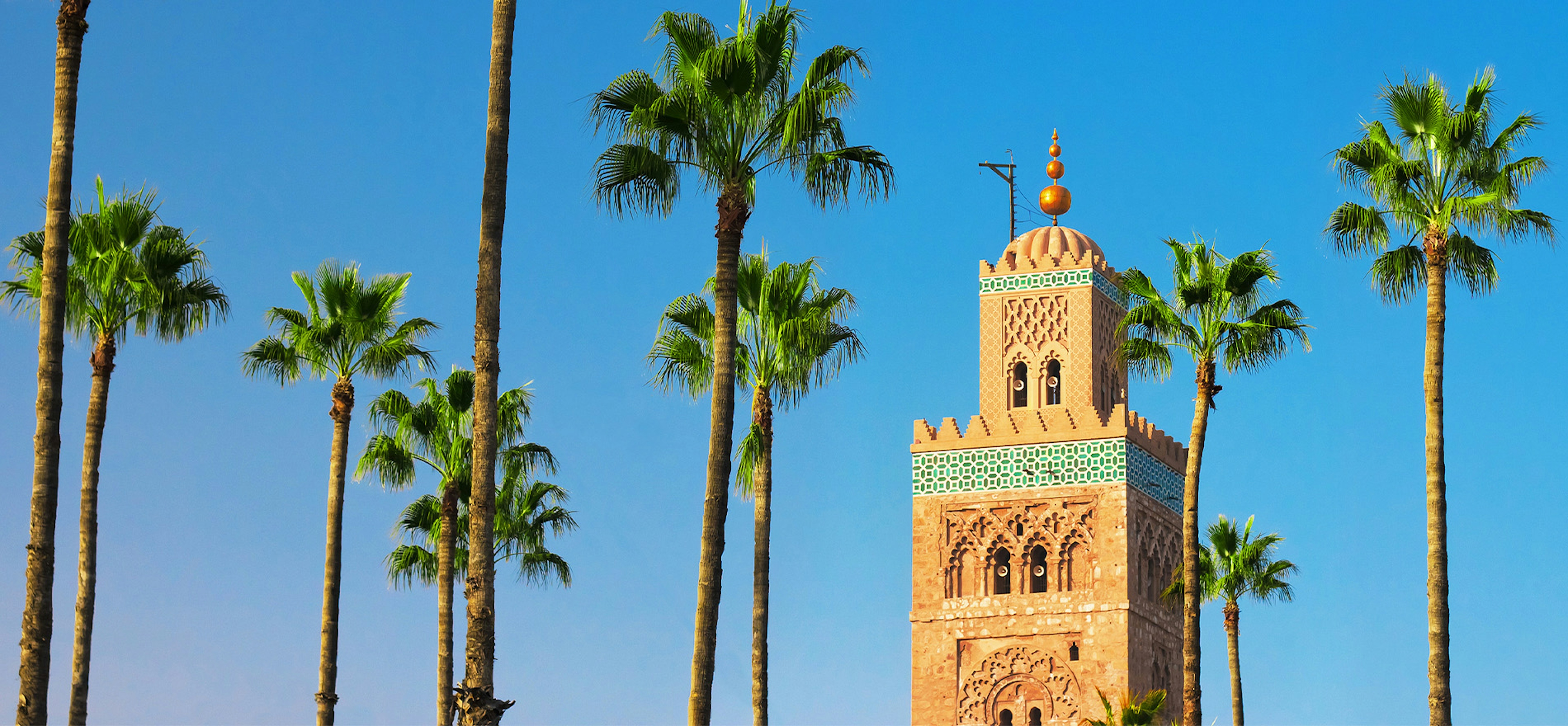 Blue sky, palm trees and a small tower in marrakech